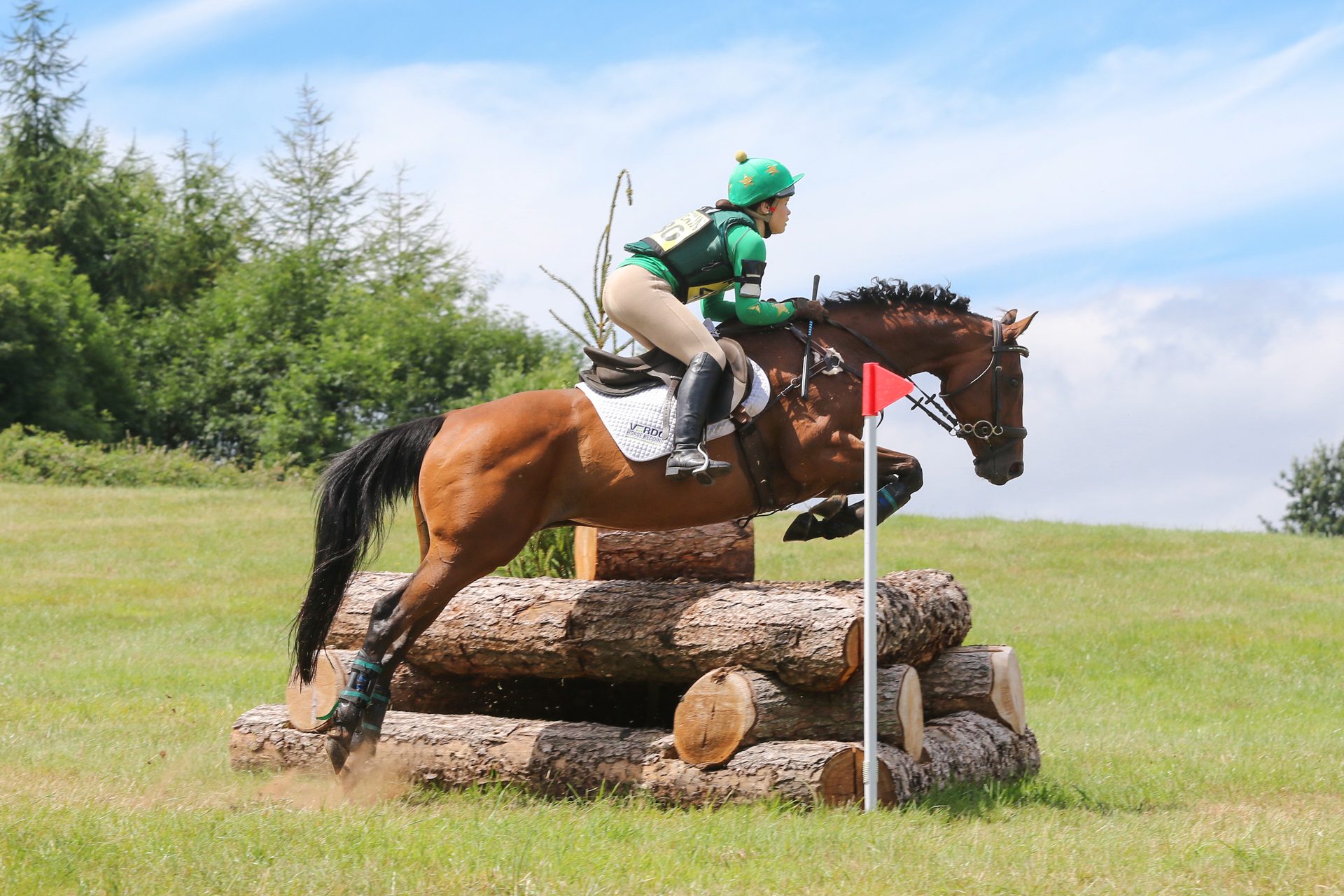 A Racehorse Relief horse jumping a cross-country fence