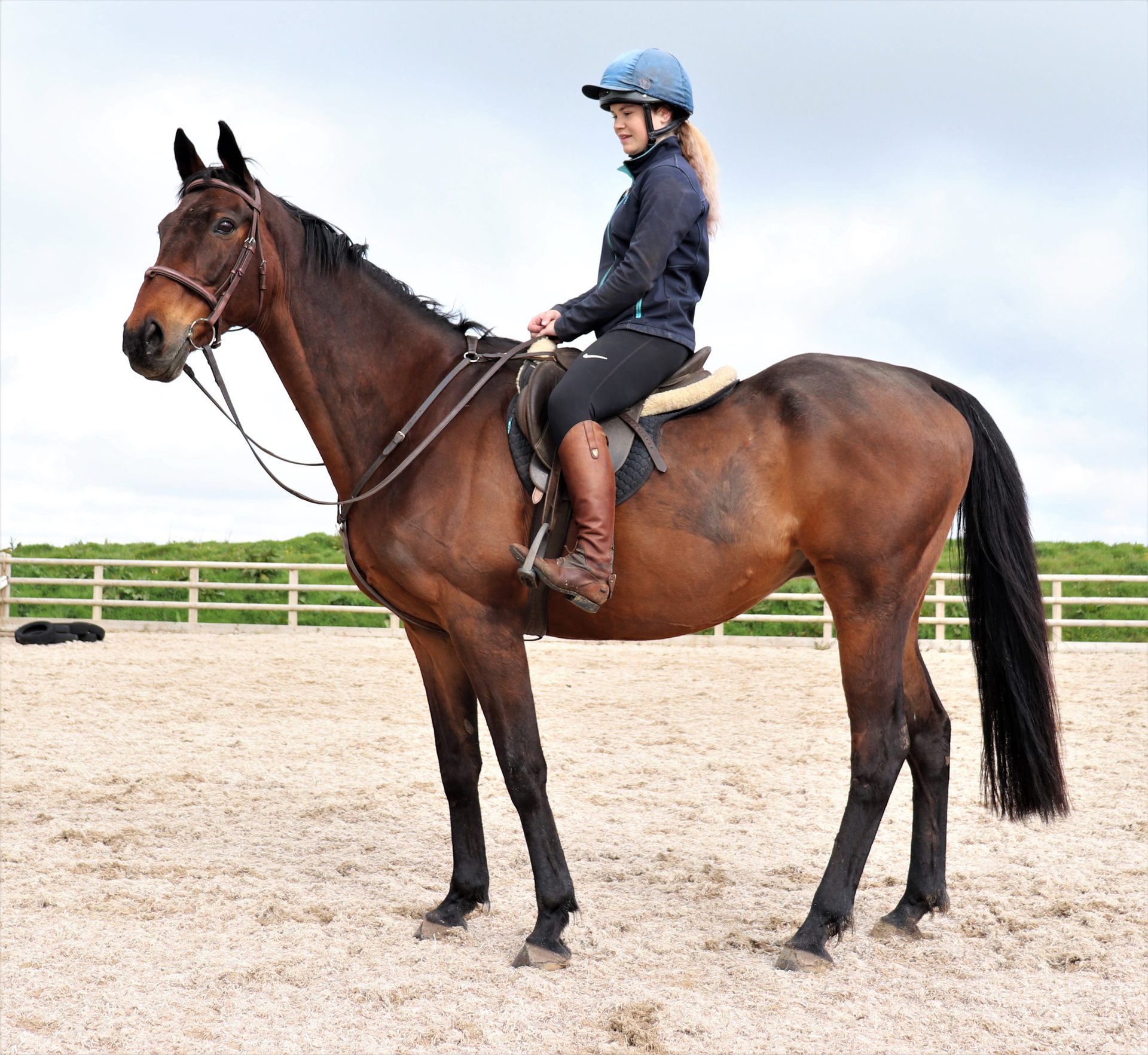 A bay thoroughbred and rider standing in the school