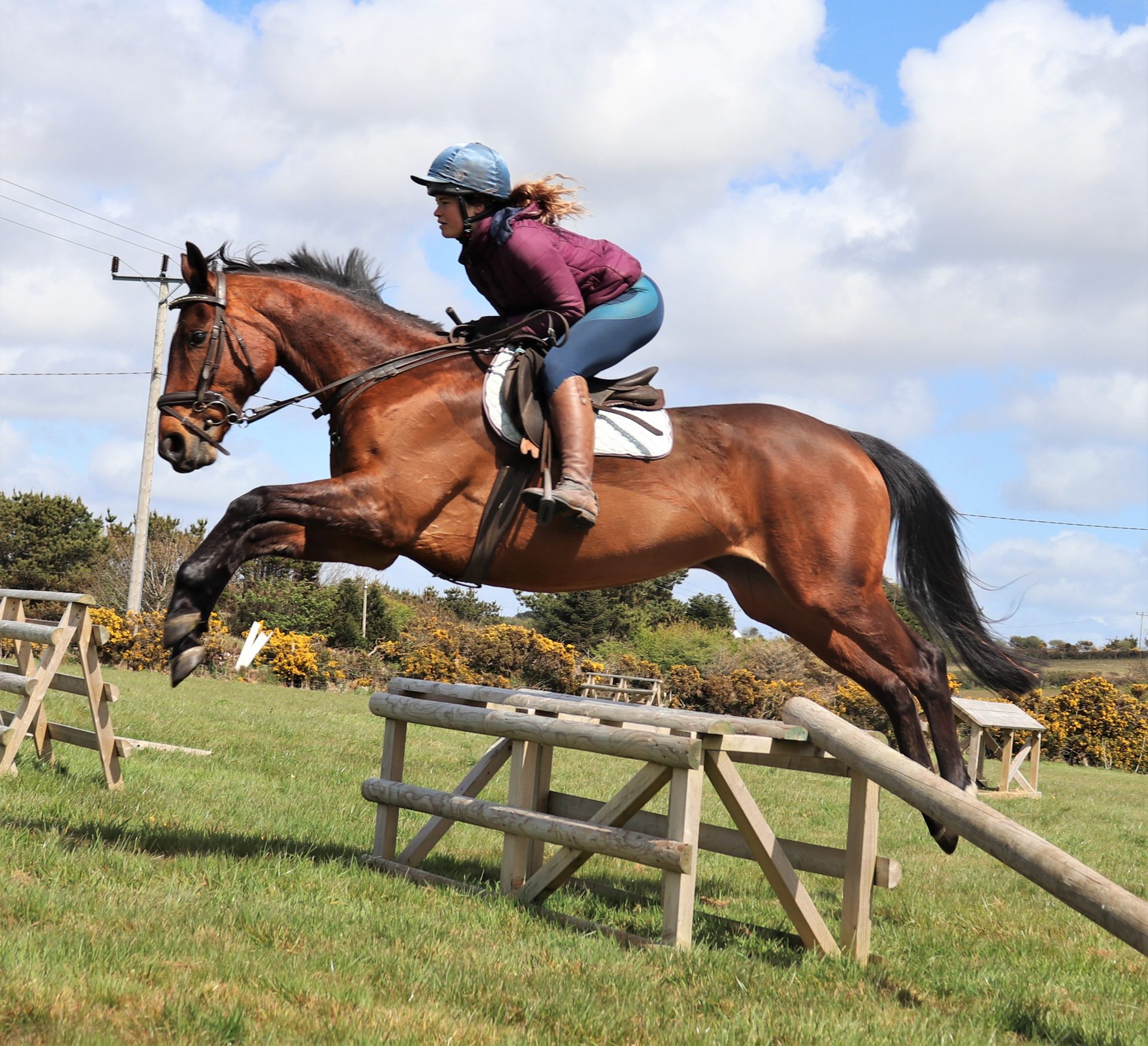 A Racehorse Relief horse jumping a cross-country fence